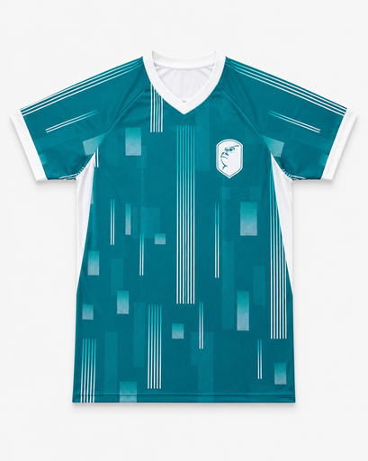 Teal custom raglan sleeve v-neck soccer jersey with white design