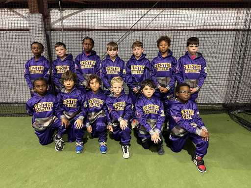 Prestige Baseball Custom Hoodies, Custom Baseball Hoodies with Purple and Gold Design