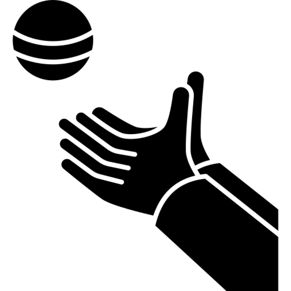 Key feature
