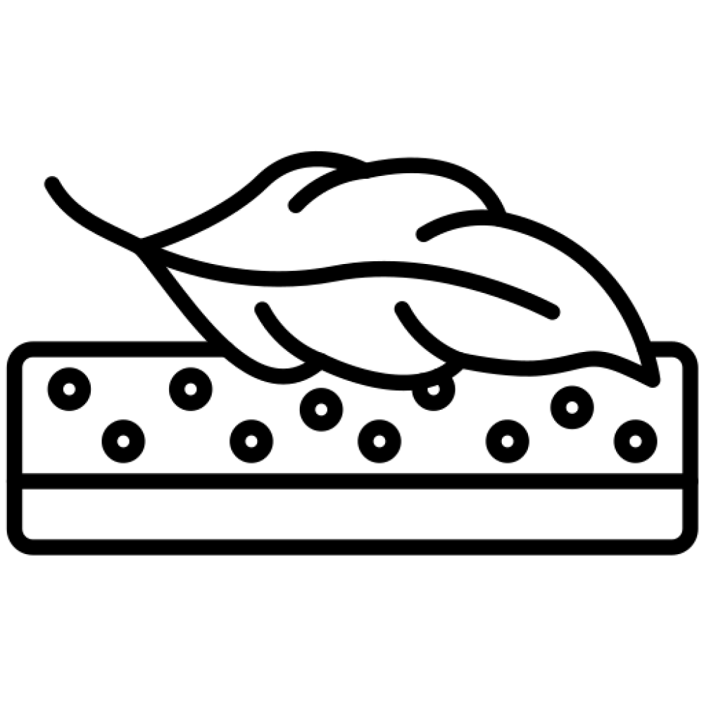 Key feature