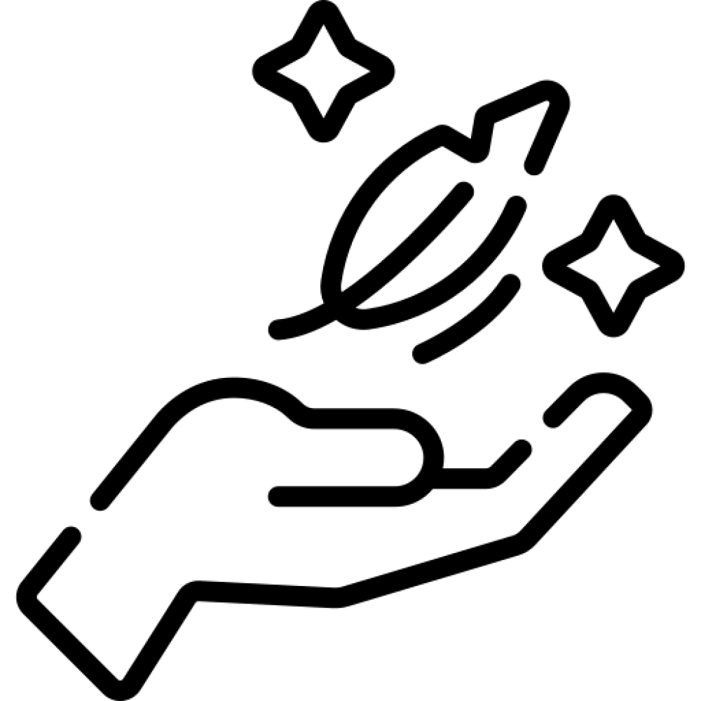 Key feature