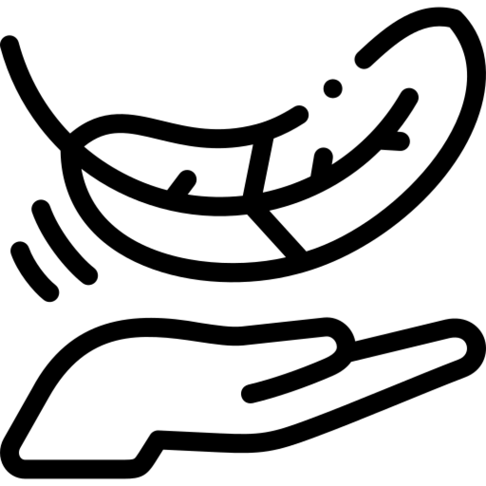 Key feature