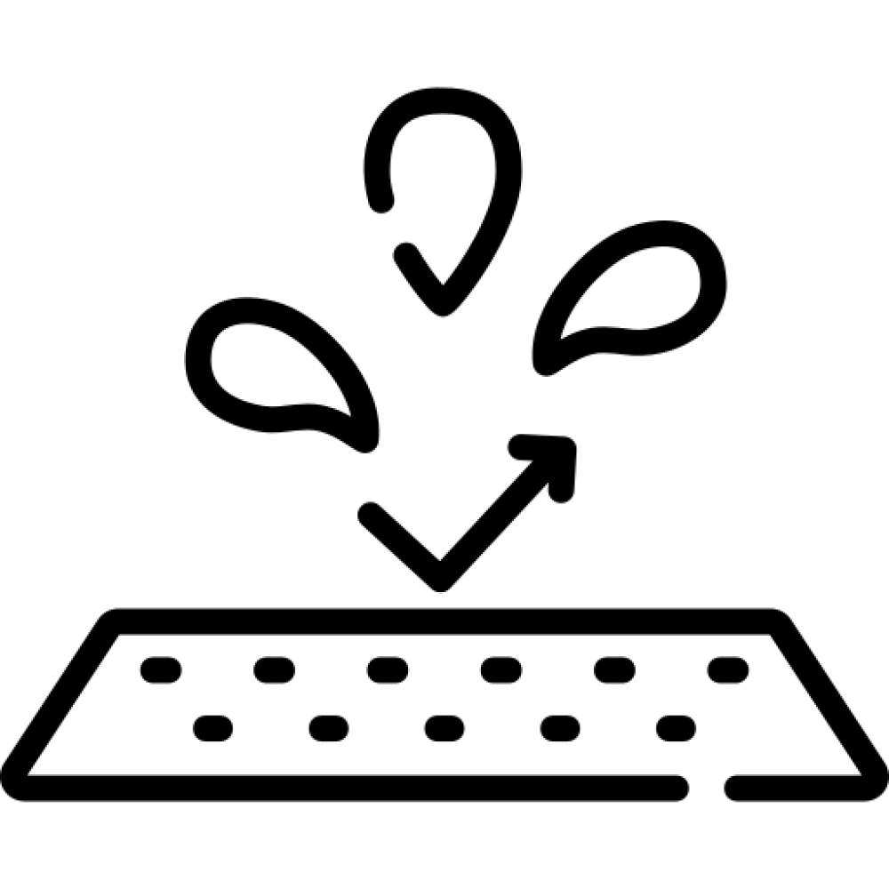 Key feature