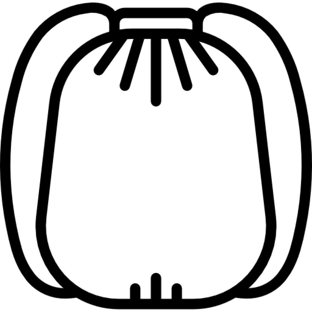 Key feature