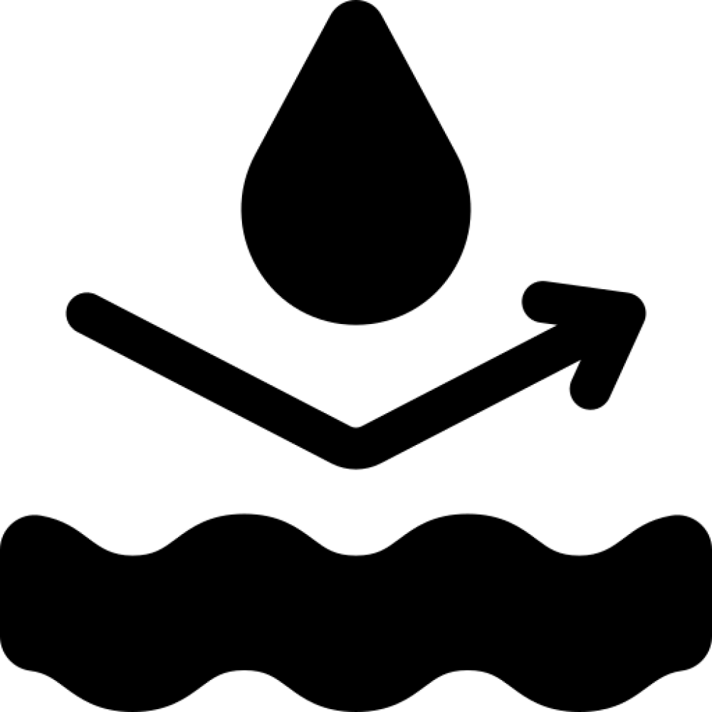 Key feature